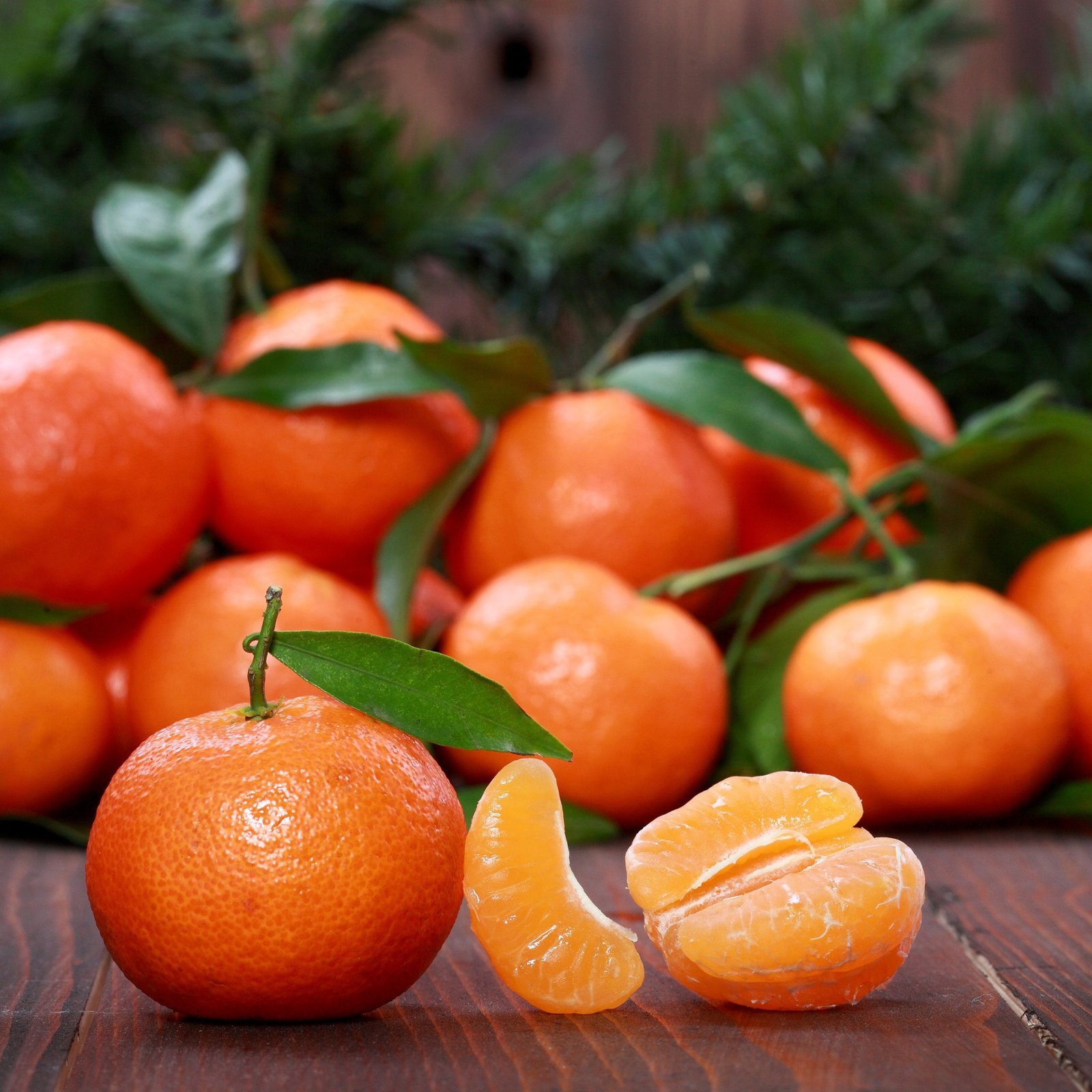Mandalina